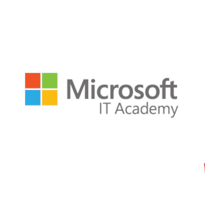 MS Academy Logo
